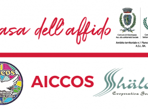 BANNER AFFIDO AICCOS4