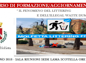 Il fenomeno del Littering 28 giugno 2018 2
