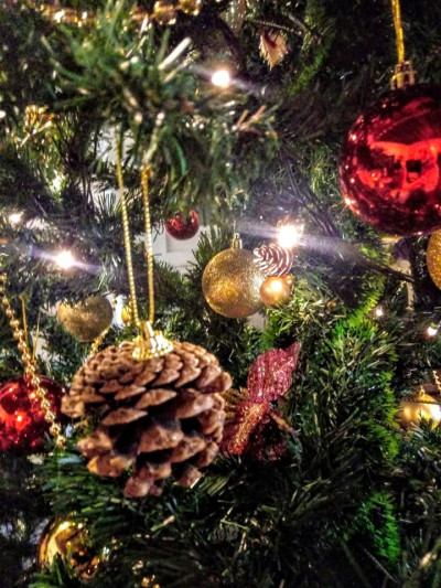 Natale a Molfetta Grande festa su Corso Fornari e dintorni