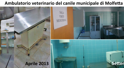 Ambulatorio canile prima dopo Ambulatorio canile prima dopo