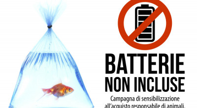 Campagna animali2. Campagna animali2.