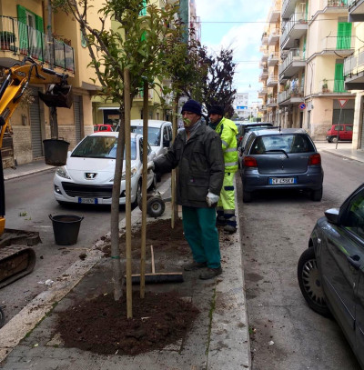 FullSizeRender 15 FullSizeRender 15