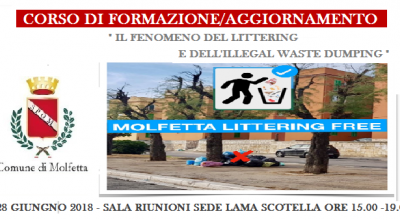 Il fenomeno del Littering 28 giugno 2018 2 Il fenomeno del Littering 28 giugno 2018 2