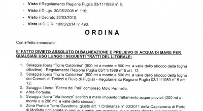 Ordinanza Sindacale n Ordinanza Sindacale n