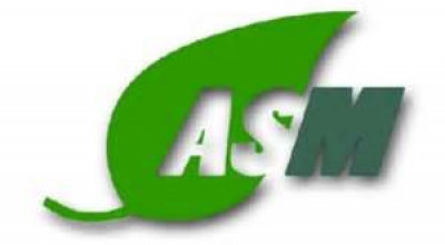 asm asm