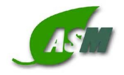 asm asm