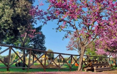Parco Baden Powell. Ripristinati i bagni. Affidata la manutenzione a Multiser...