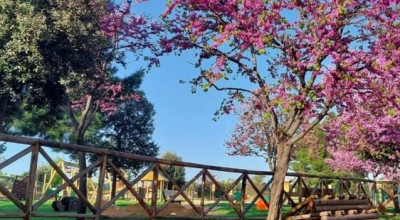 Parco Baden Powell. Ripristinati i bagni. Affidata la manutenzione a Multiser...