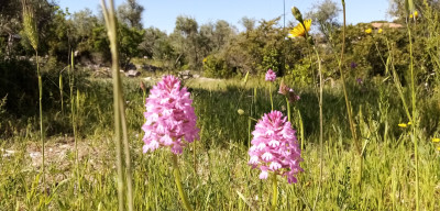 Percorsi escursionistici e orienteering. Lama Martina “apre” al t...