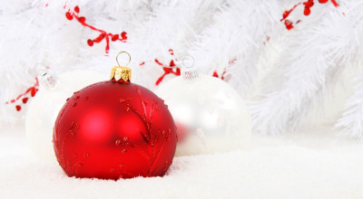 Natale a Molfetta. Gli appuntamenti della settimana
