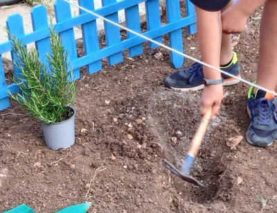 Torna l’Orto dei Bambini: al via la 3ª edizione di “Tutti gi...