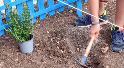 Torna l’Orto dei Bambini: al via la 3ª edizione di “Tutti gi...