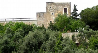 Valorizzazione Fondo Azzollini e Convento Cappuccini. Presentazione progetto