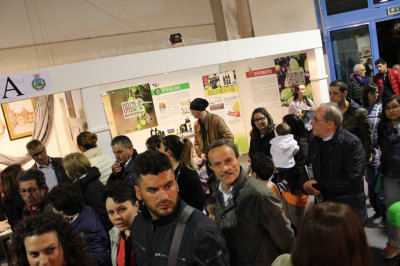 fiera gravina162 fiera gravina162