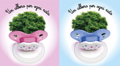 manifesto alberi home manifesto alberi home