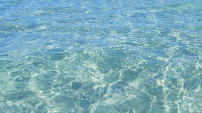Sbarca a Molfetta “Parley for the Oceans”: pulizia dei fondali e...