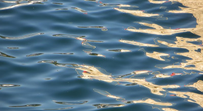 Progetto “Difendiamo il mare”. Domenica con Poseidon blu team i s...