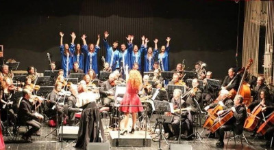 orchestra provinvia orchestra provinvia