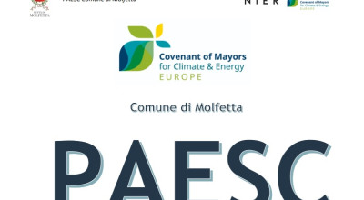 Approvato in Consiglio il Piano d’Azione per l’Energia Sostenibil...