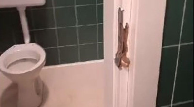 Sulle tracce degli autori della vandalizzazione nel Baden Powell. Individuati...