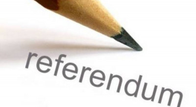 referendum referendum