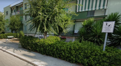 Verde pubblico: trattamenti antiparassitari di alberature e siepi