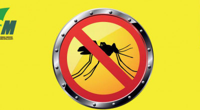 testata disinfestazione 11aprile testata disinfestazione 11aprile