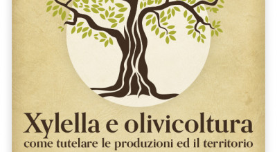 xylella web xylella web